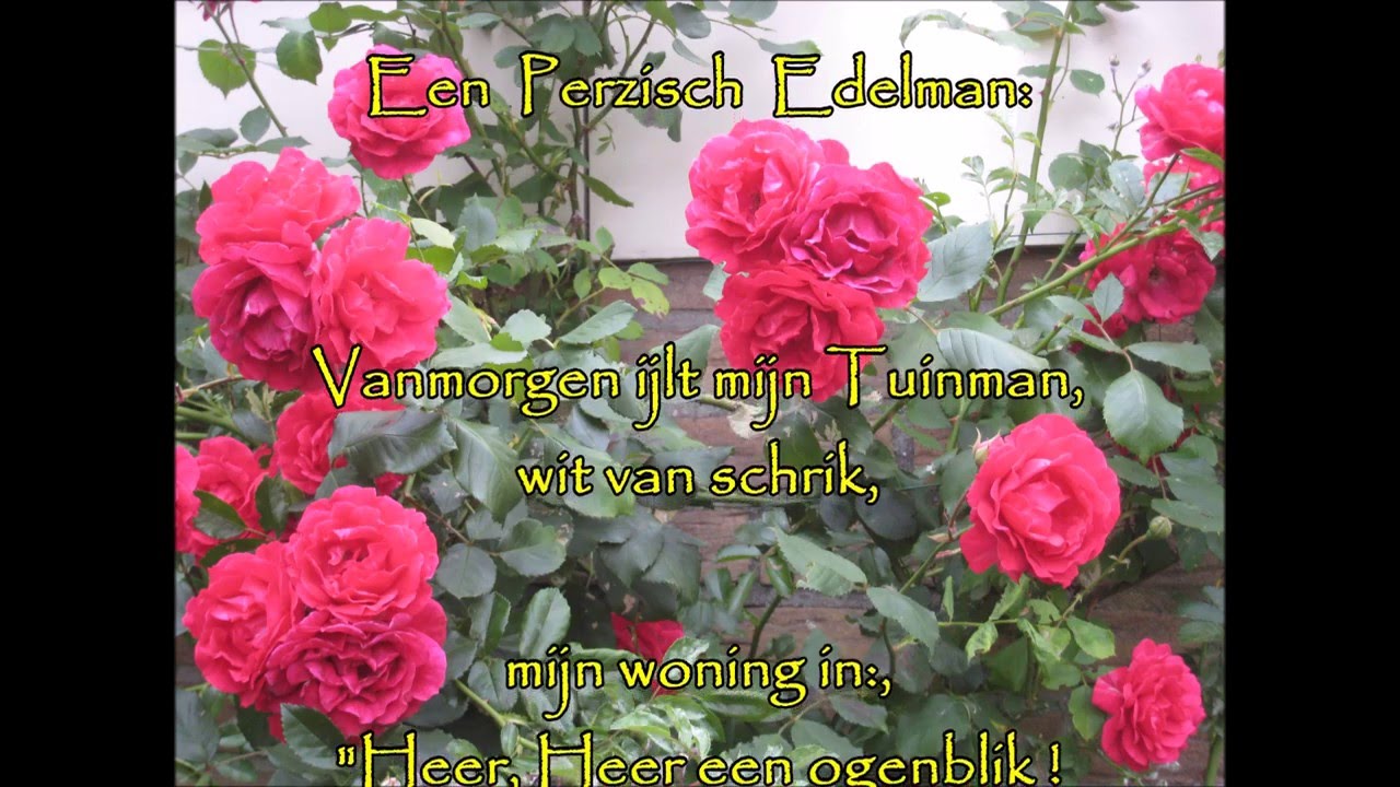 De Tuinman en de Dood... - YouTube