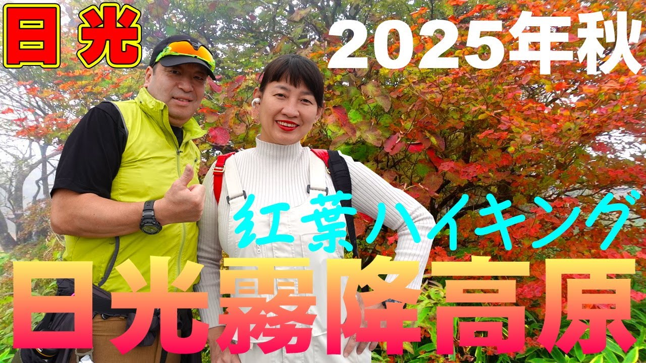 日光【霧降高原紅葉ハイキング】紅葉シーズンの日光霧降高原キスゲ平園地は濃霧が凄すぎた！