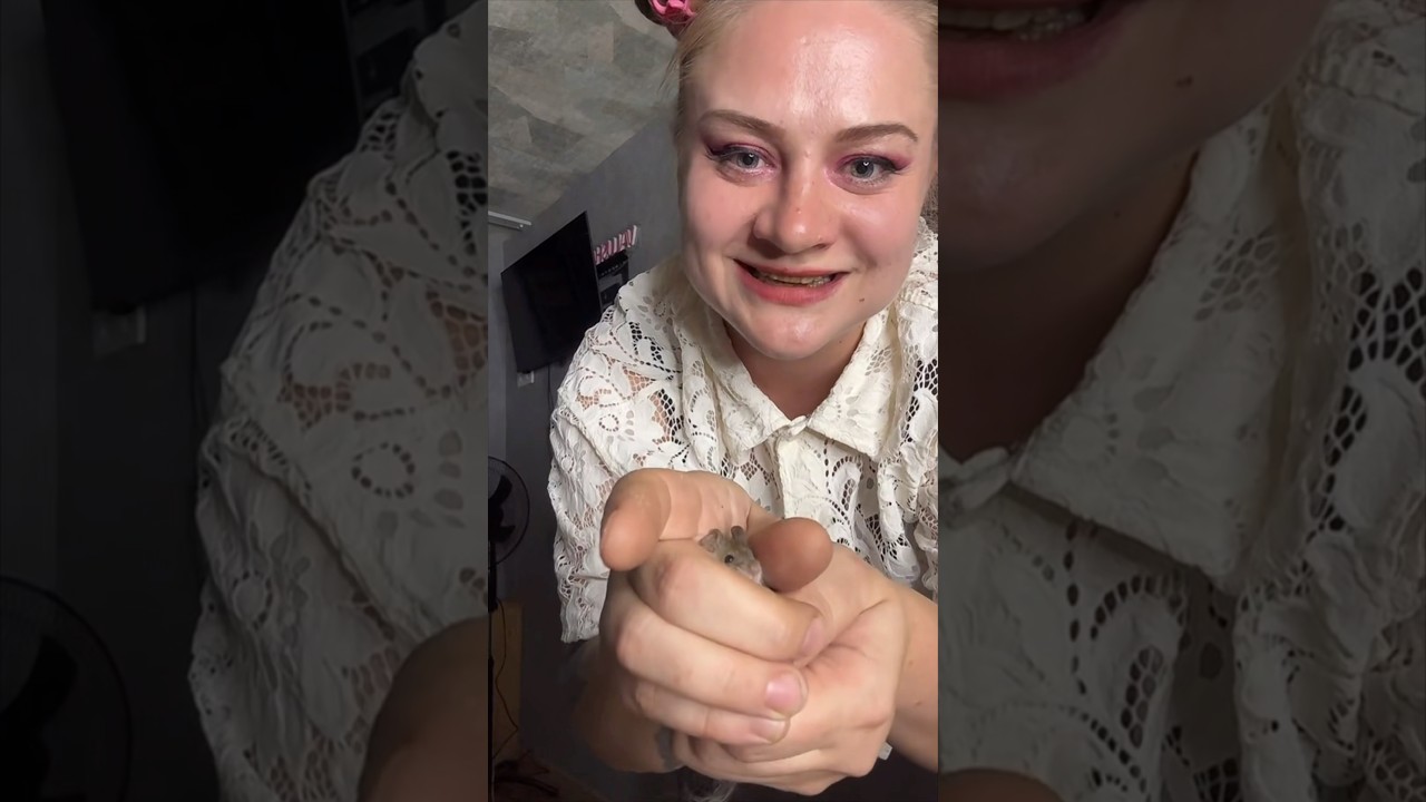 Валентина и мышь😂😂 