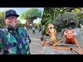 Disney’s Animal Kingdom 2023 | NEW Food &amp; Timon Sipper | Riding Flight Of Passage: Walt Disney World