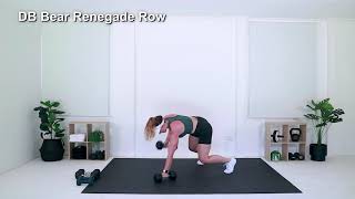 DB Bear Renegade Row