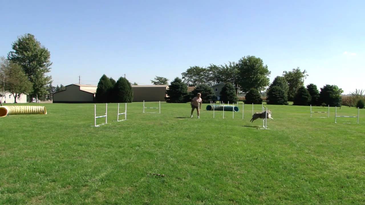 Jane Simmons-Moake Exercise