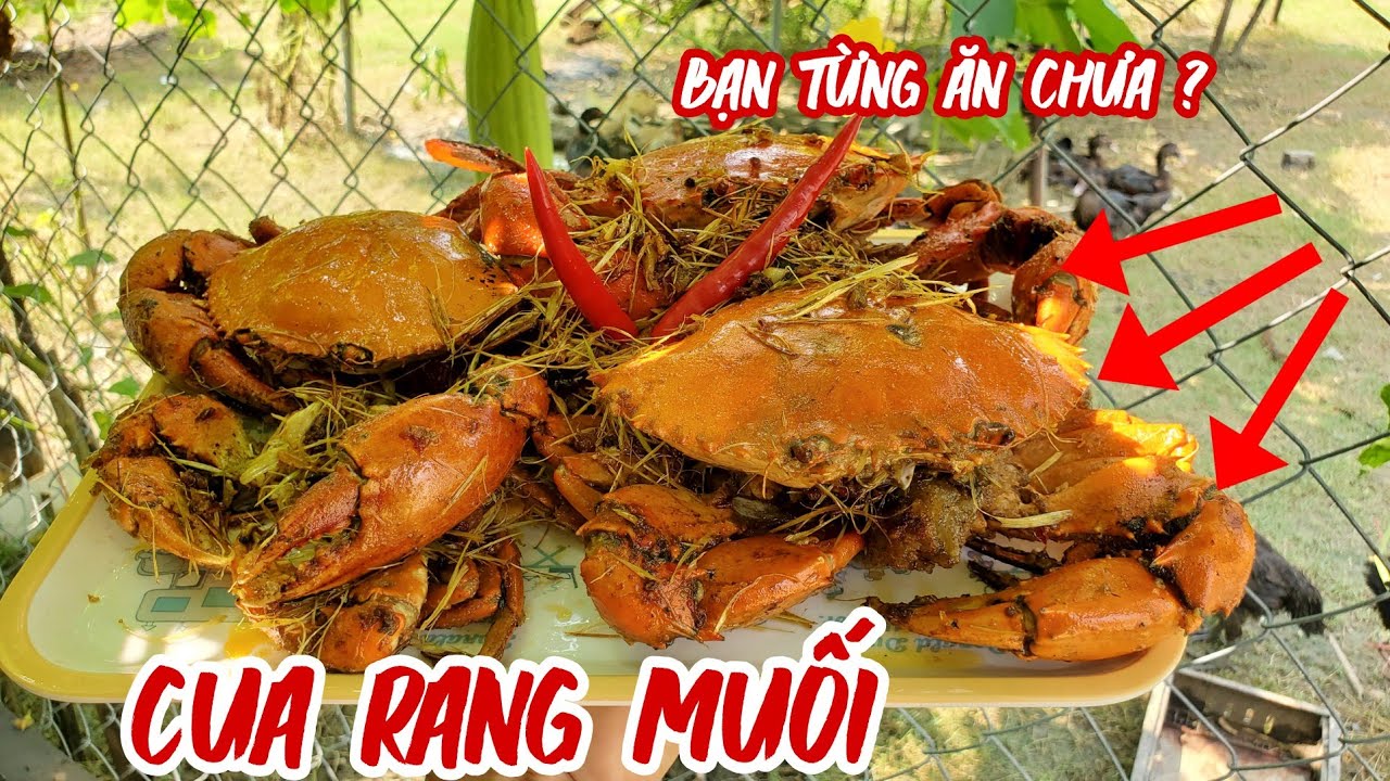 CUA RANG MUỐI MÓN NGON DÂN BIỂN