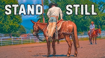 Does Your Mule Or Horse Move While Mounting? This Will FIX IT!