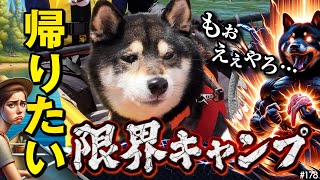 久々のキャンプなのに帰りたい柴犬