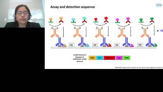 Fluorescent multiplexing of 3D spheroid FFPE with Roche automated stainer and reagents...
