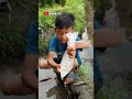 MENANGKAP ANAK IKAN GABUS NIH