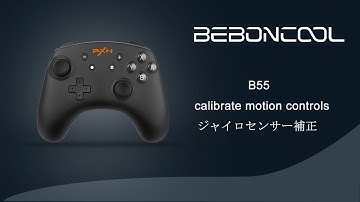 B55 switch controller calibrate motion controls / ジャイロセンサー補正