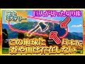 この地球に山や森は存在しない 日本版！ 巨人が切った巨木の切り株？巨木伝説がある伐株山（きりかぶさん）