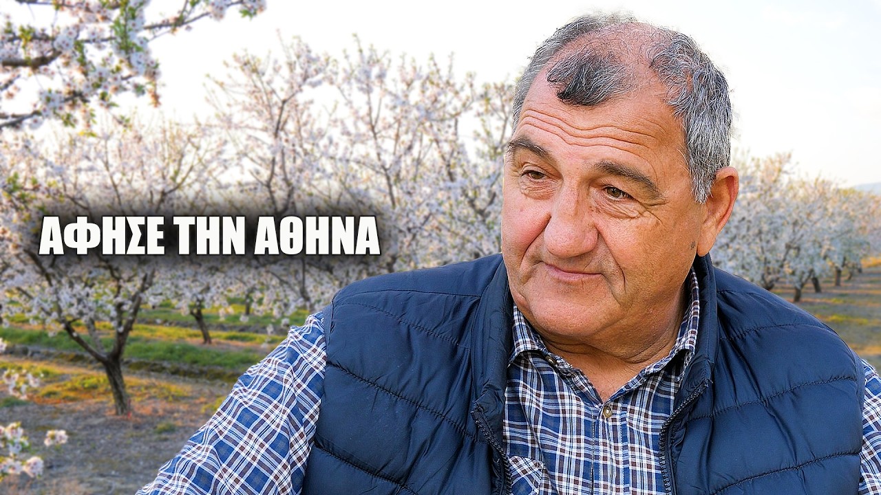 Άφησε την Αθήνα και βρήκε τη ζωή του στις αμυγδαλιές – Video