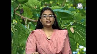 BRAOU : UG Sericulture, Zoology 3rd year 5th semester : Internal Anatomy & Structural overview