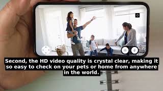 Blink Mini Pan-Tilt Camera (newest model), Rotating indoor plug-in smart sec