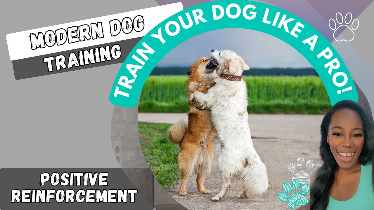 Types Of Dog Training Styles