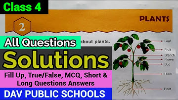 DAV class 4 Science Chapter 2 - Solutions || All Questions Answers