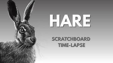 Hare Scratchboard Time-lapse
