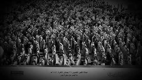 ما تيسر من سورة يس  تلاوة هادئة للشيخ ياسر الدوسري