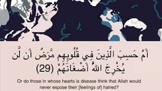 ﴿أَمْ حَسِبَ الَّذِينَ فِي قُلُوبِهِم مَّرَضٌ أَن لَّن يُخْرِجَ اللَّهُ أَضْغَانَهُمْ ﴾ أحمد العجمي