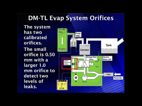 13 DM-TL Leak Detection For Imports