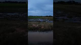 ភ្លេងកំសត់ #បំពេរអារម្មណ៍ពេលរាត្រី #សម្លេងភ្លេងខ្លុយ