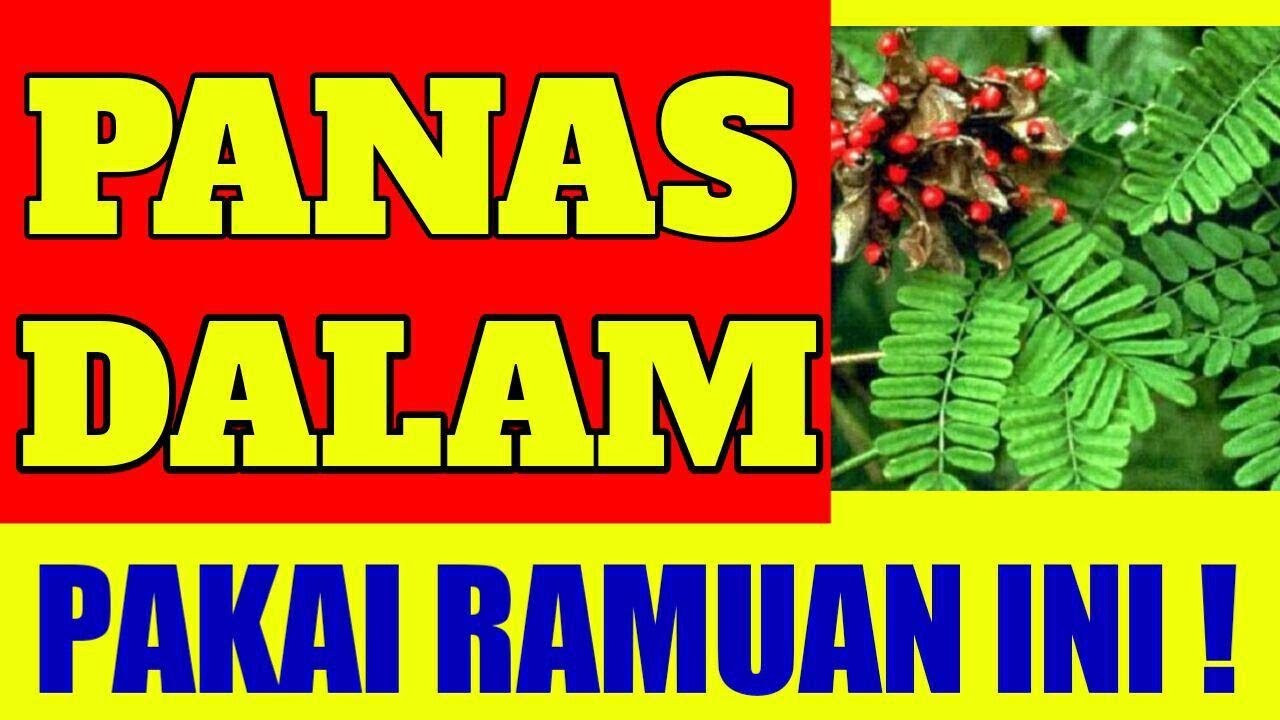 RESEP AMPUH ! CARA MENYEMBUHKAN PANAS DALAM,TENGGOROKAN KERING,SARIAWAN