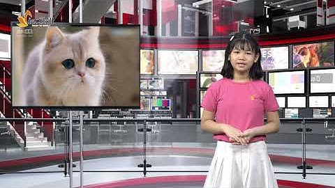 MC THỦY TIÊN - KHÓA MC NHÍ N269 -THỰC HÀNH GHI HÌNH TRƯỜNG QUAY