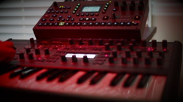 Concert for Tulips - Octatrack and Virus Generative Ambient