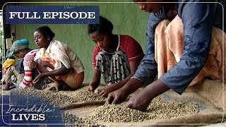 Ethiopia Coffee: 12 Birr a Day | Blood, Sweat and Luxuries | Season 1 Episode 3