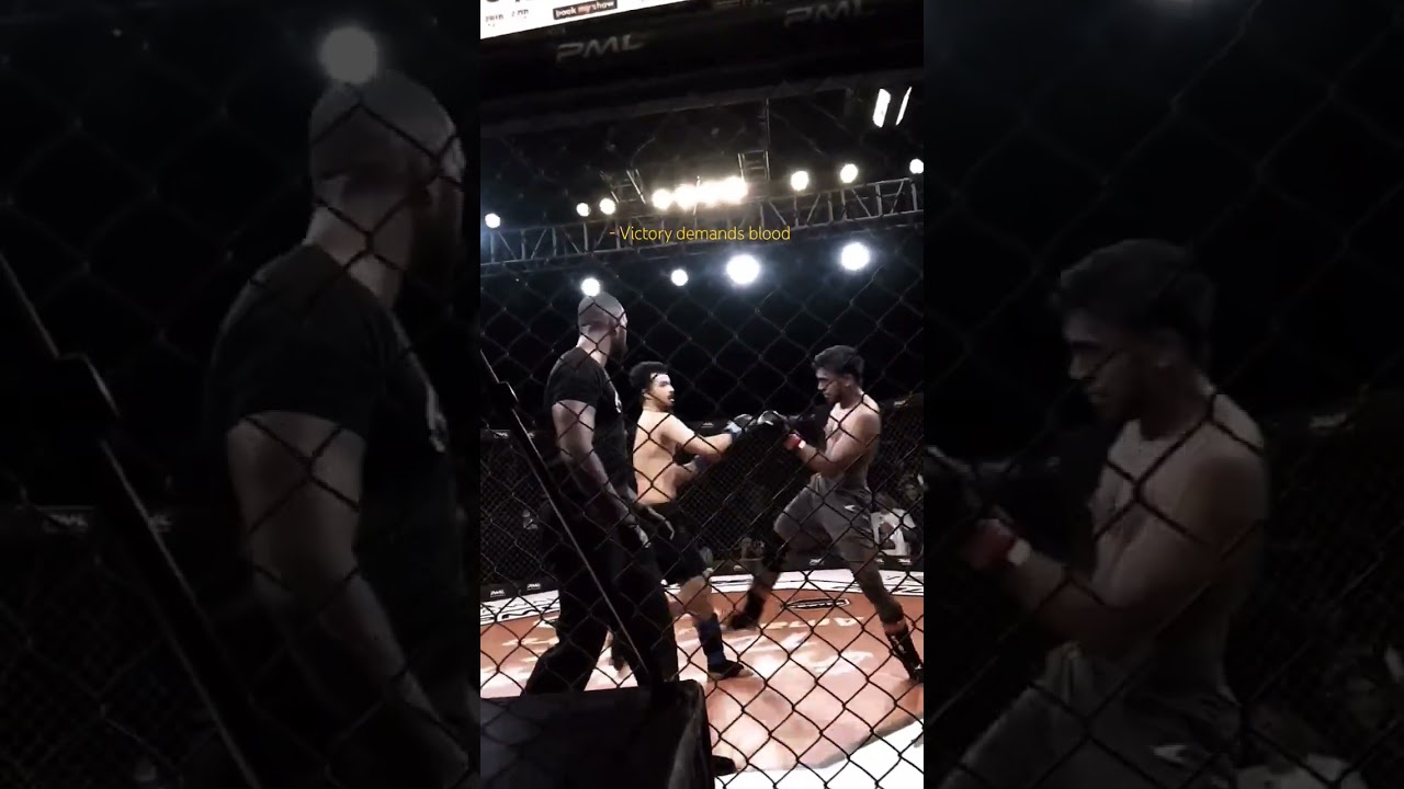 i break people faces for money 