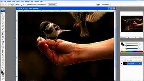 Brief demo of the Quick Select Tool in Photoshop CS3