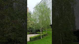 Sight of  Crowne Plaza Birmingham Nec, an IHG Hotel #crowneplaza #hotel #airportroad, #Birmingham