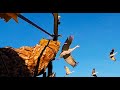 Killing a Flying Dinner, Will It's Head Come Off?  (KILLS, Cooks, EATS)