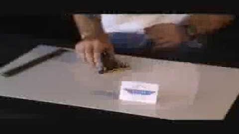 Squeegee Handles Ettore Brass w/quick release