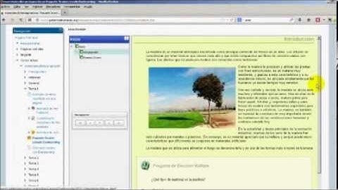 Importar un paquete Scorm generado con Exelearning