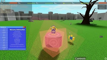 #roblox Script Fight