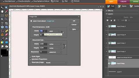 Digital Scrapbooking Designer Tutorial:  Creating Animation / Blinkie