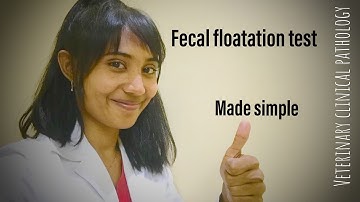 Fecal floatation technique
