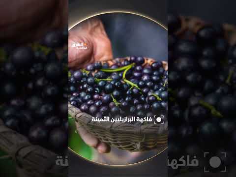 فاكهة البرازيليين الثمينة وثائقيات، shorts