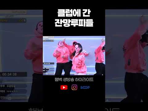 클럽에 간 루피들