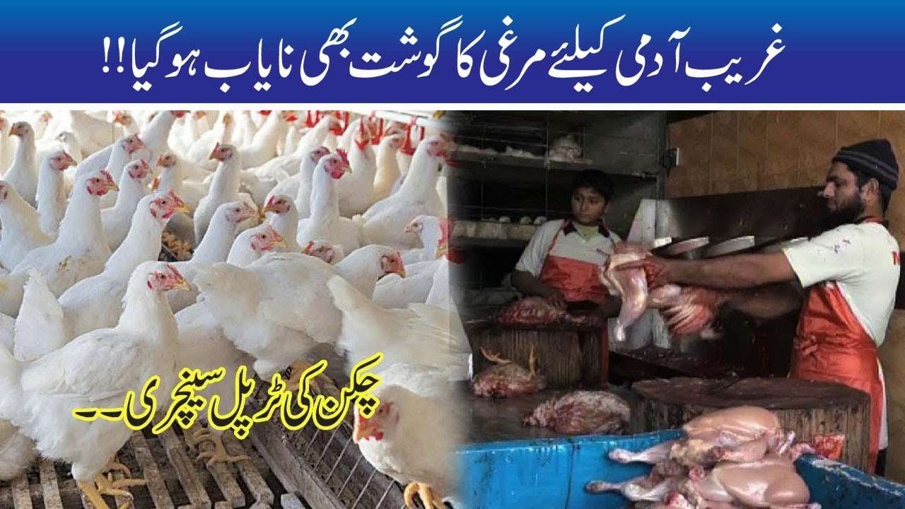 Chicken Prices Shockingly Increased!!!