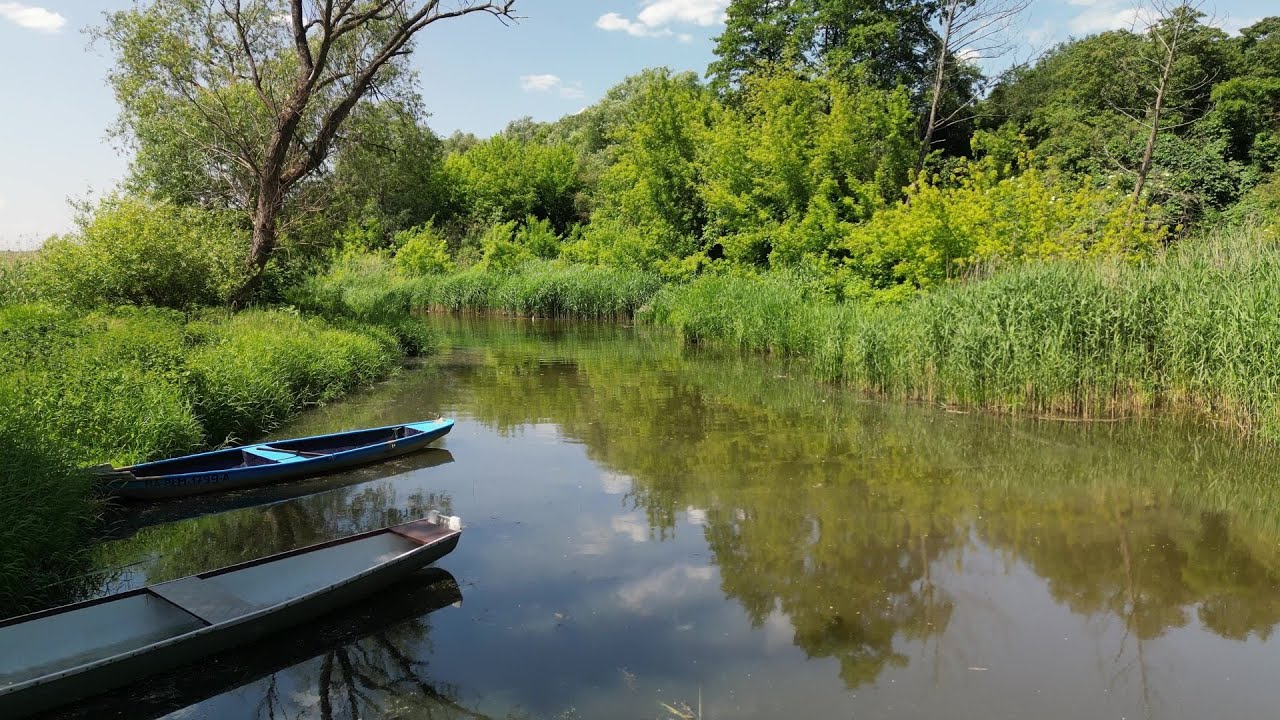 BRZEŹNICA   OD ŹRÓDEŁ DO UJŚCIA master4k