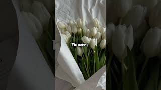 Beautiful Things That Start With The Letter F