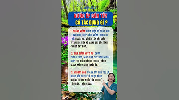 Nước ép cần tây có tác dụng gì #duocsily #dsly #chamsocsuckhoe #suckhoe #songkhoe