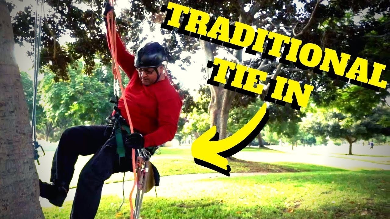 HOW TO USE A TRADITIONAL TIE IN -Intro to Tree Climbing W/ Bino H ...