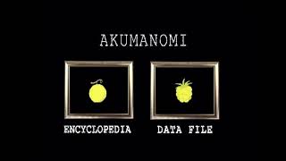 Devil Fruit File - Gomu Gomu no Mi [One Piece DVD Season 4 Piece 1]