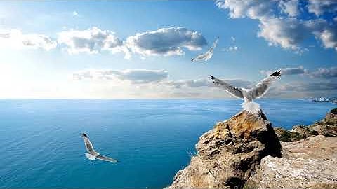 New Age, Relax, Lounge Music -  Back to Earth