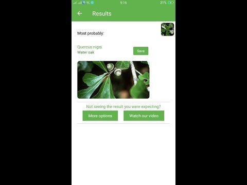 PlantSnap identifies a