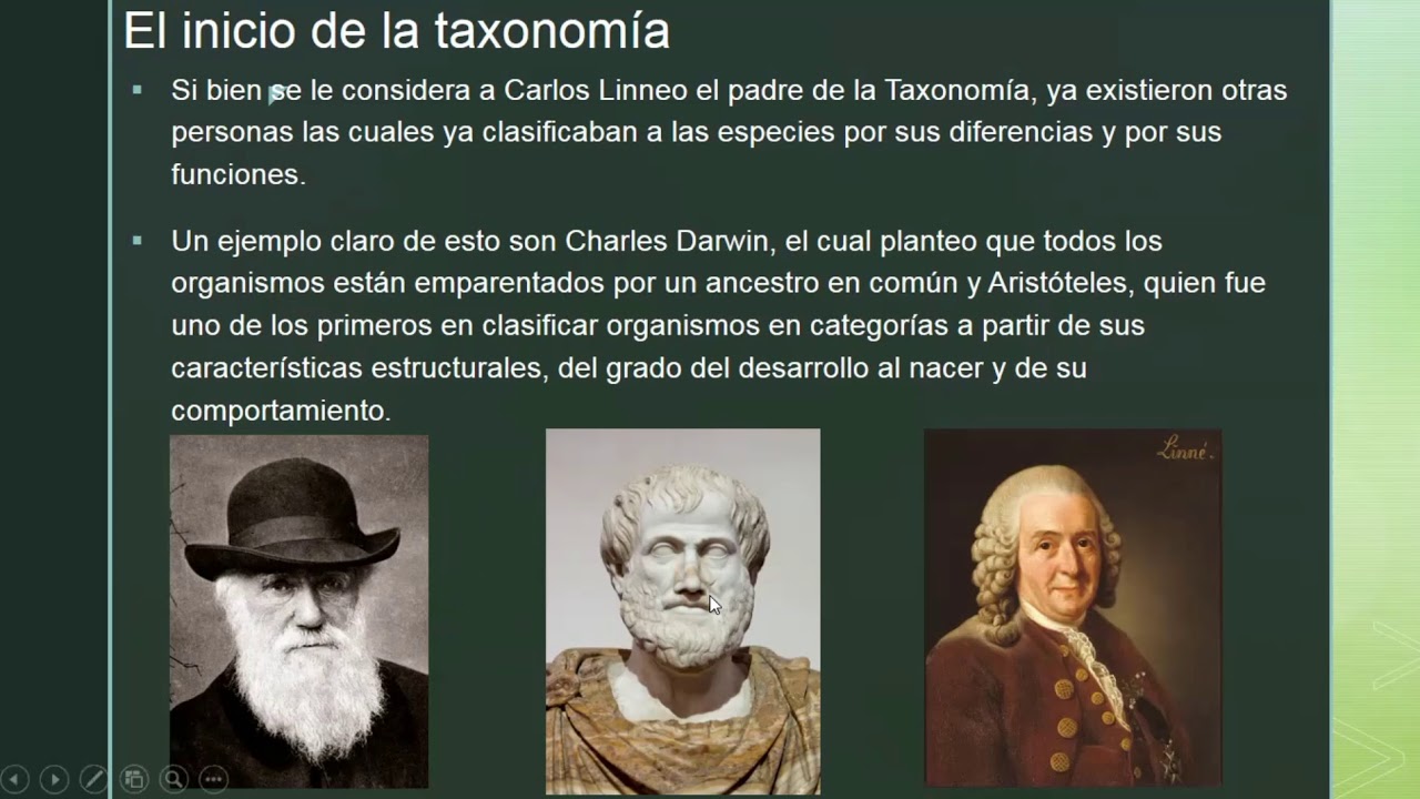 Taxonomia Definicion Taxonomia. Els 5 regnes i els 3 dominis - Ariadna