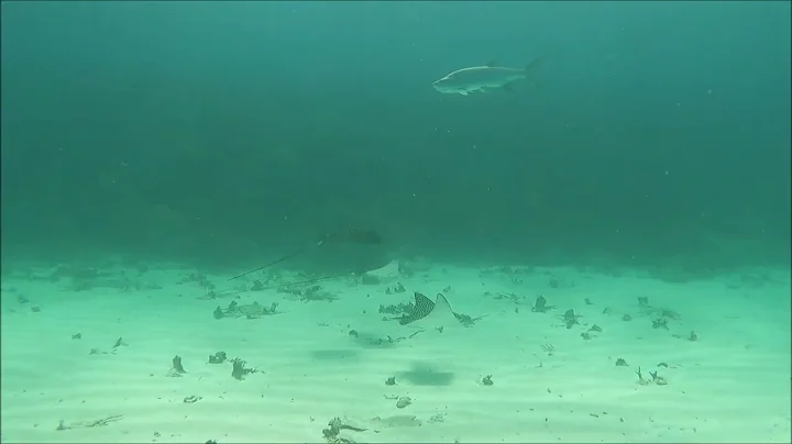 Bonaire 2022