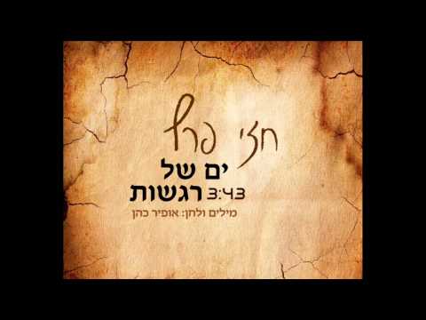 חזי פרץ ים של רגשות 