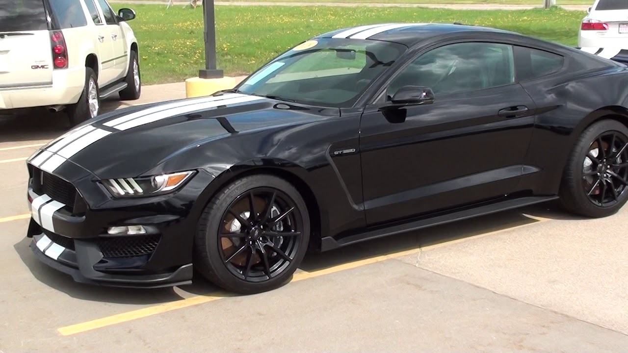 Ford Mustang Shelby GT350 only Ron's Toy Box in Bettendorf,IA 52722